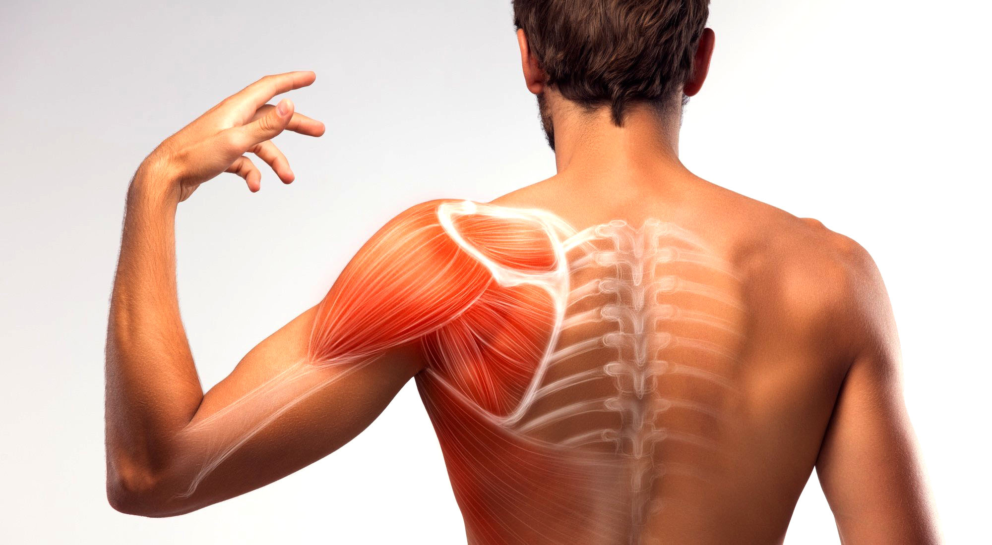 Tratamiento para los Músculos