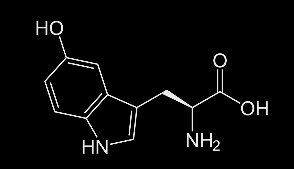 Dietary supplement for depression