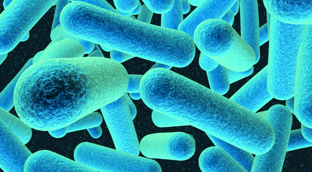 Tratamiento para la Listeriosis