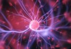 Optogenética, Optogenetics, l'optogenetica