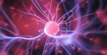 Optogenética, Optogenetics, l'optogenetica