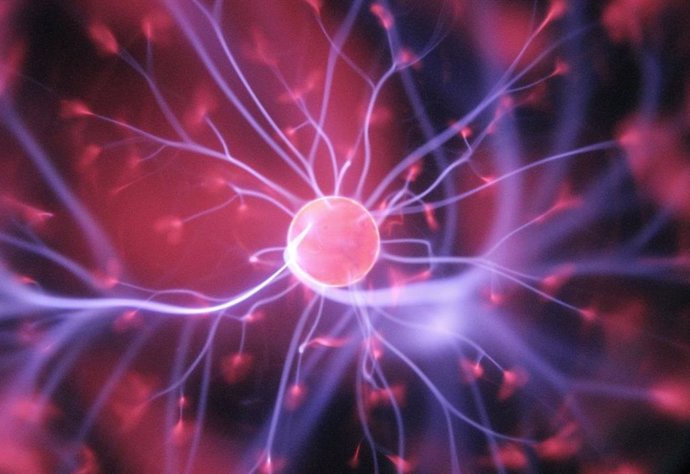 Optogenética, Optogenetics, l'optogenetica