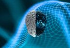 Bienestar mental, mental wellness, Benessere mentale