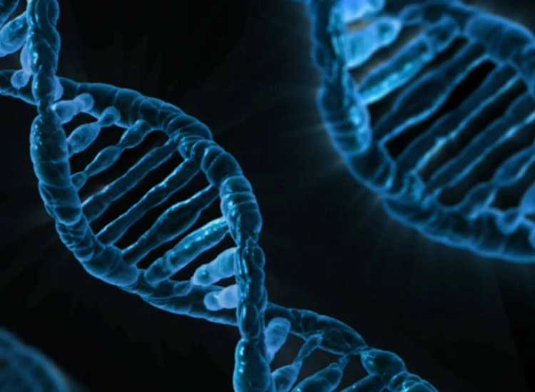 Nutraceutica e ricerca: come la scienza sta trasformando il benessere moderno